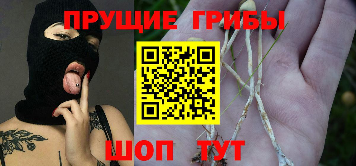 Балашов  Галлюциногенные грибы ЛСД  Галлюциногенные грибы мухоморы  Вход с VPN 